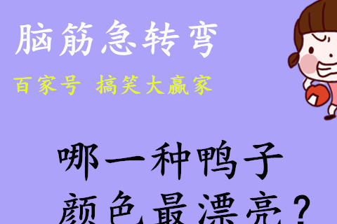 搞笑图片段子幽默笑话：大师兄，你也来跑步了？