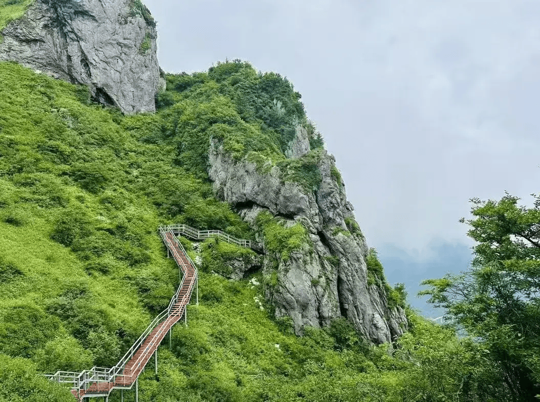 奔跑山水间，畅享留坝美！2024年留坝马拉松报名入口→