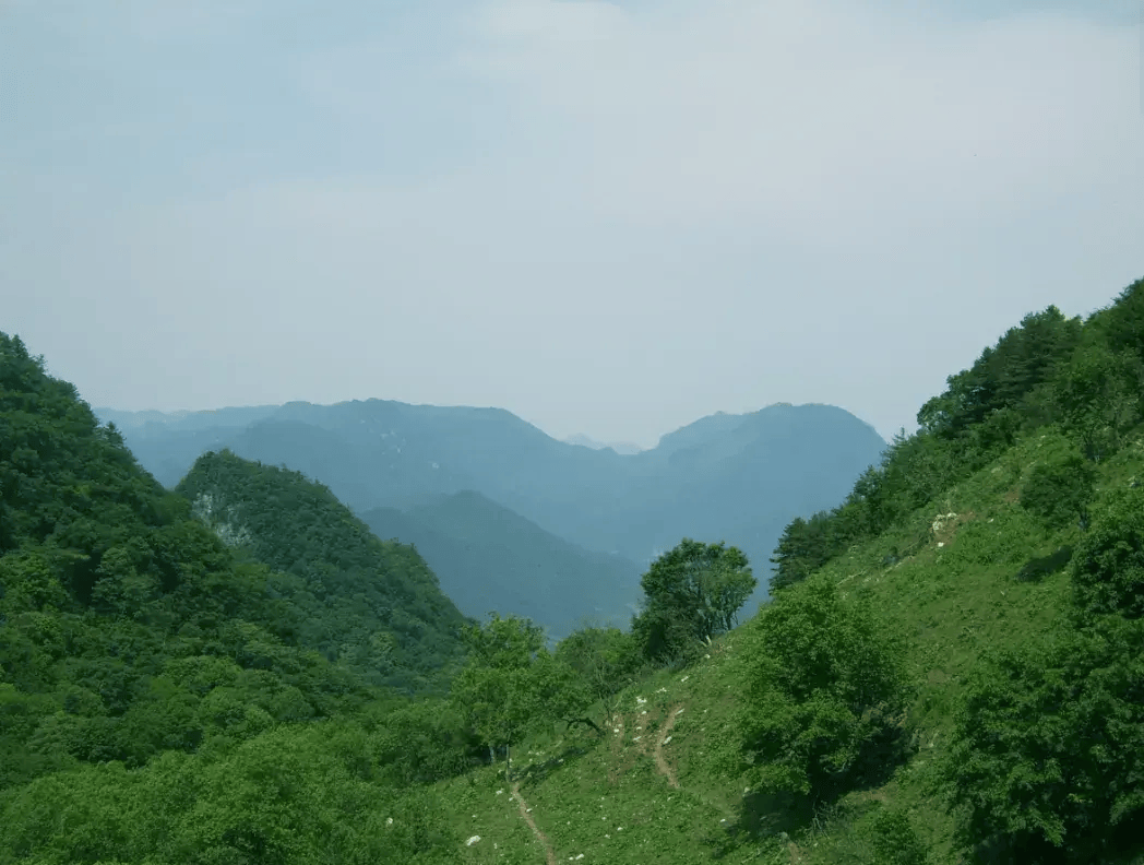 奔跑山水间，畅享留坝美！2024年留坝马拉松报名入口→