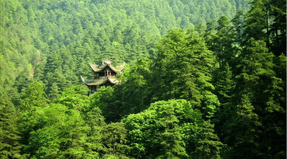 奔跑山水间，畅享留坝美！2024年留坝马拉松报名入口→